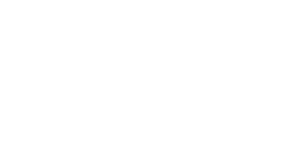 MagicHolz Logo