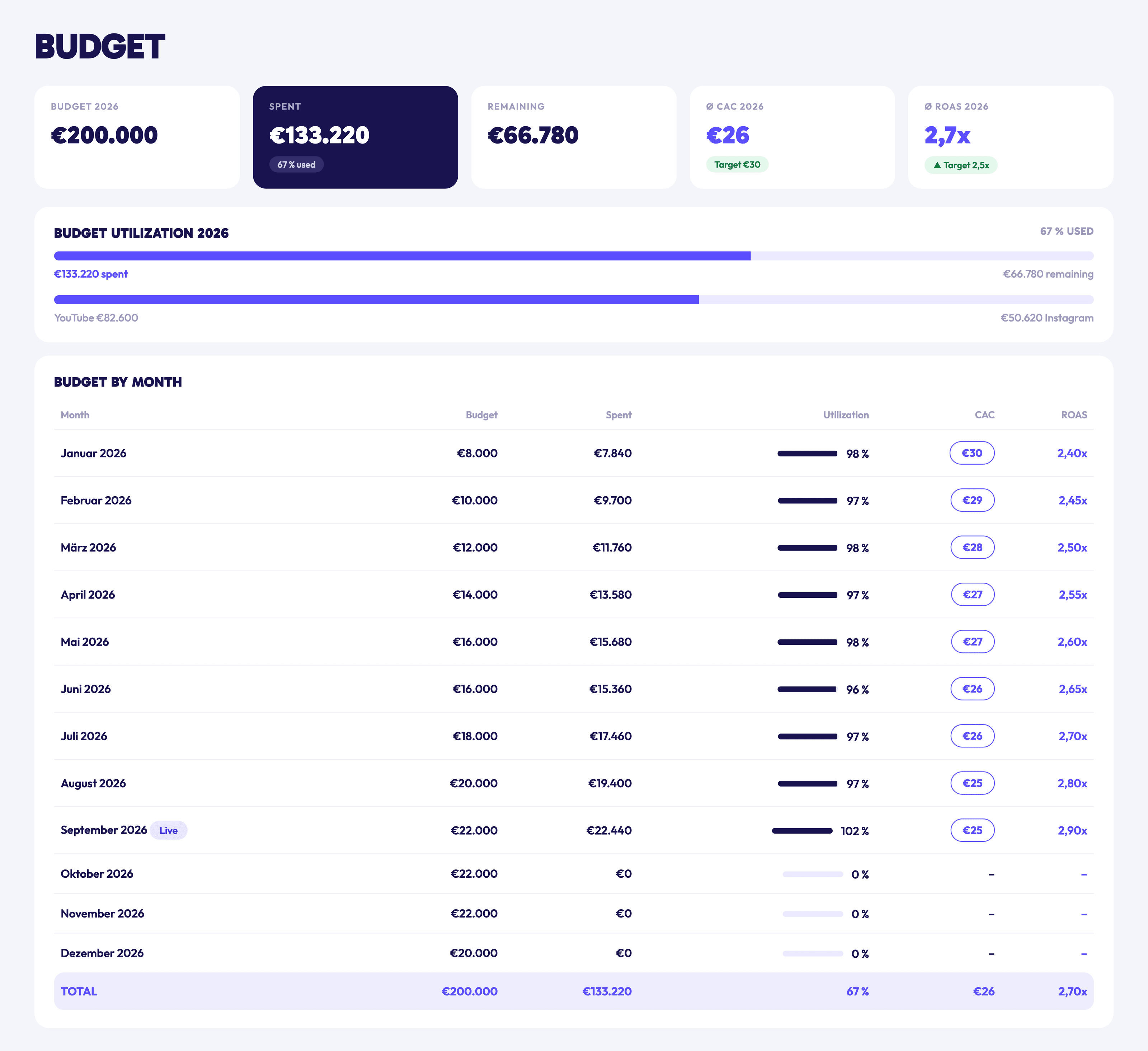 IDA-Ansicht Budget: Jahresbudget, Auslastung, Verteilung auf YouTube und Instagram, Monatstabelle